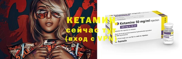 твердый Вяземский