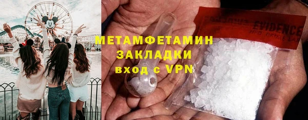 твердый Вяземский